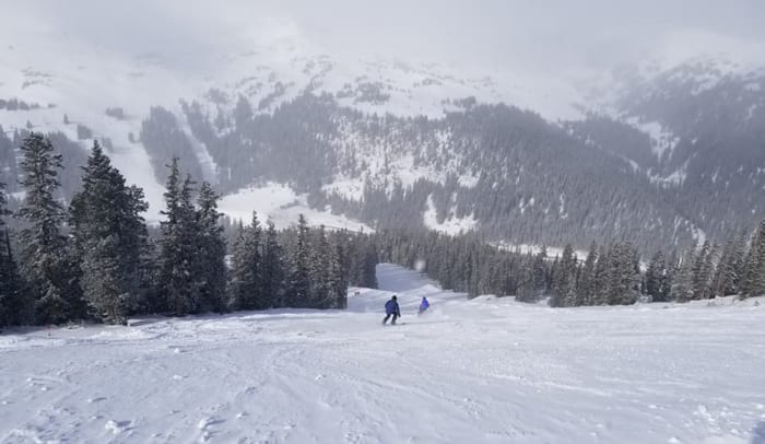 At least for now, Kevin Williams has found new ways to spend his Sunday afternoons.